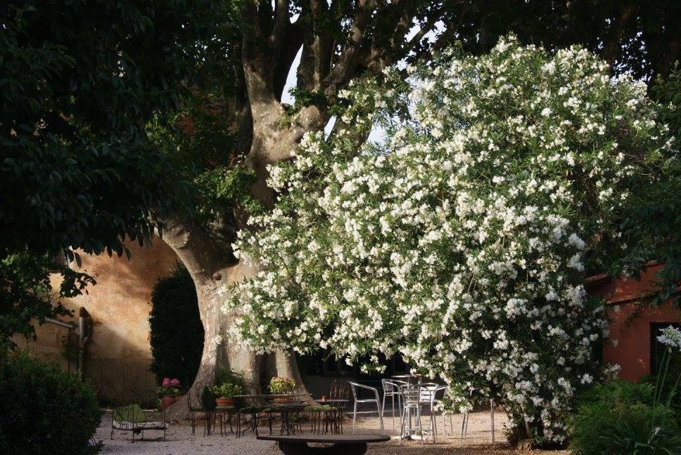 Le Bourguet Bed & Breakfast Sollies Pont Bagian luar foto